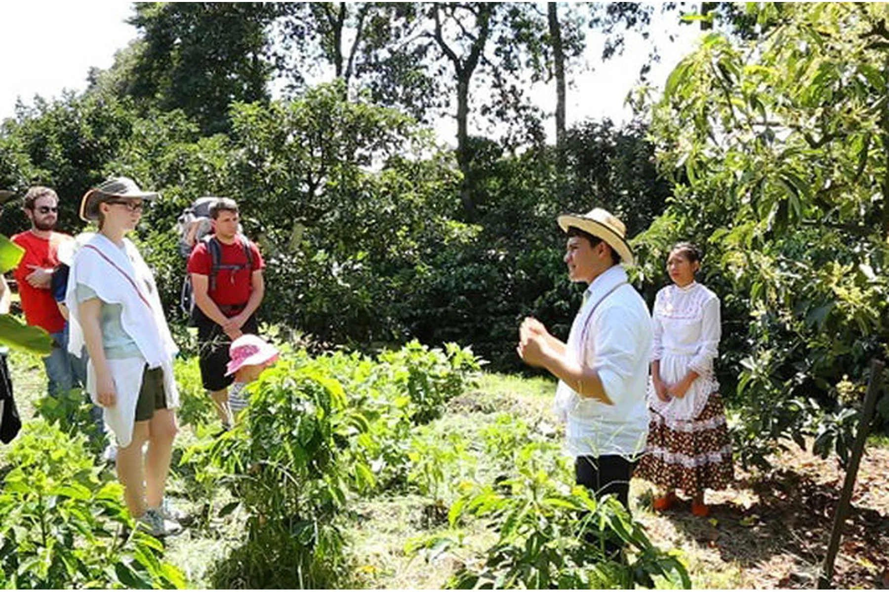 coffee tour nepal