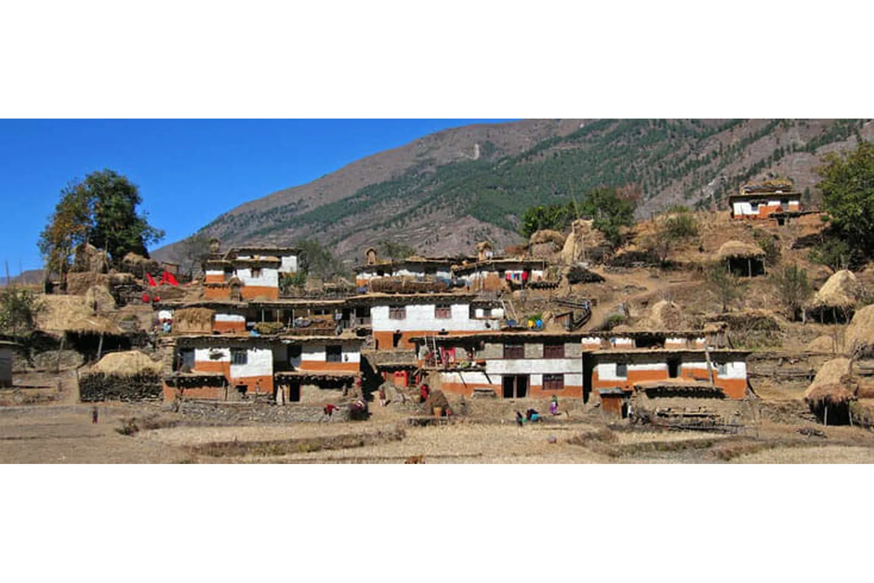 jumla-dunai-large