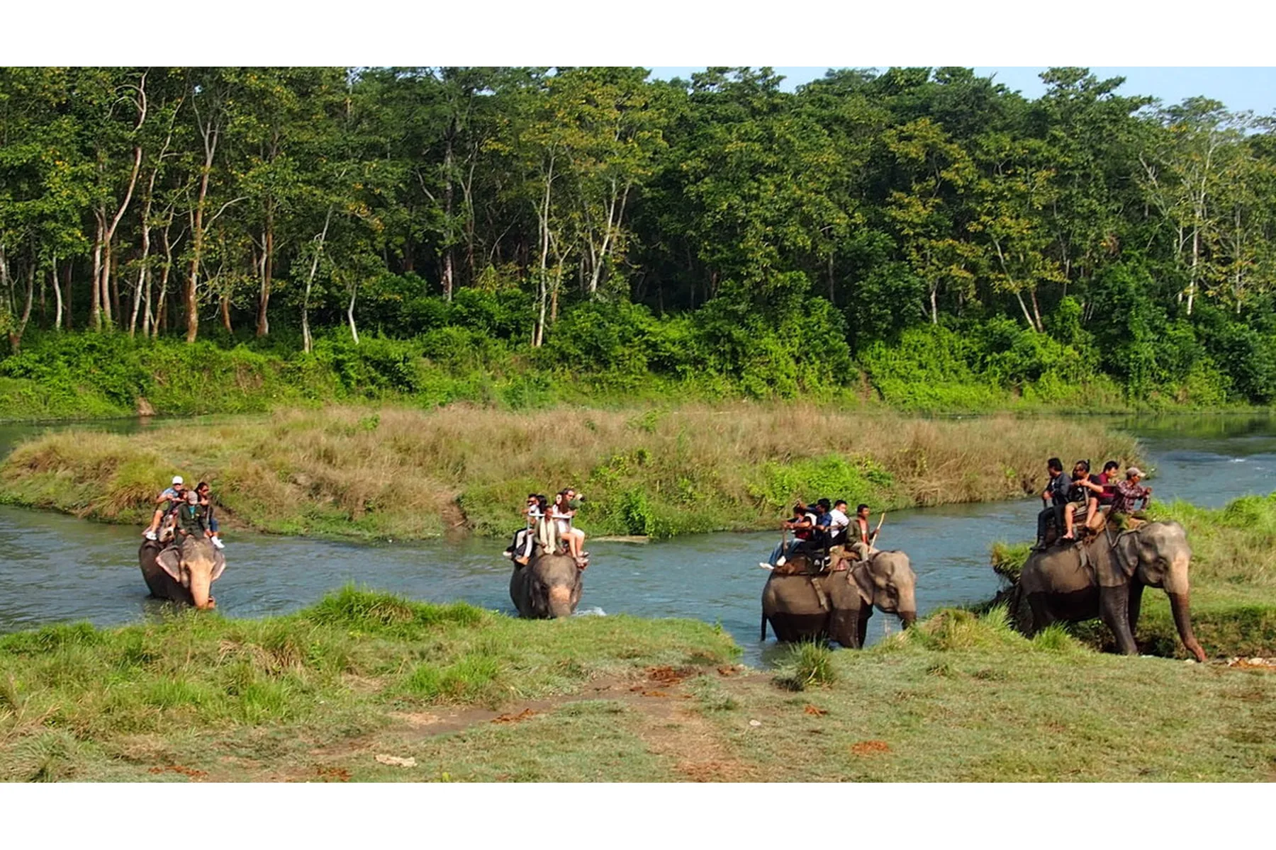 chitwan-jungle safari