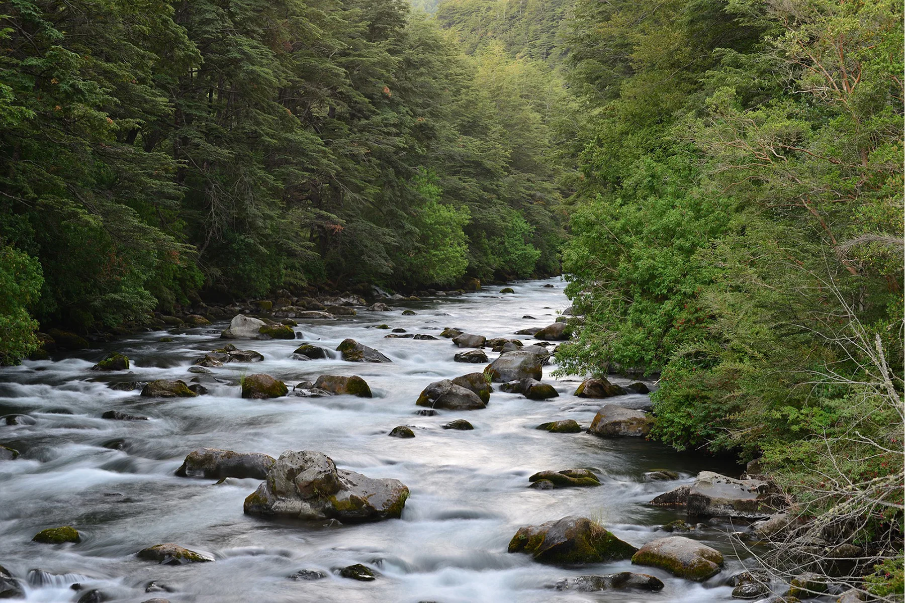 ch_river-715059_1920